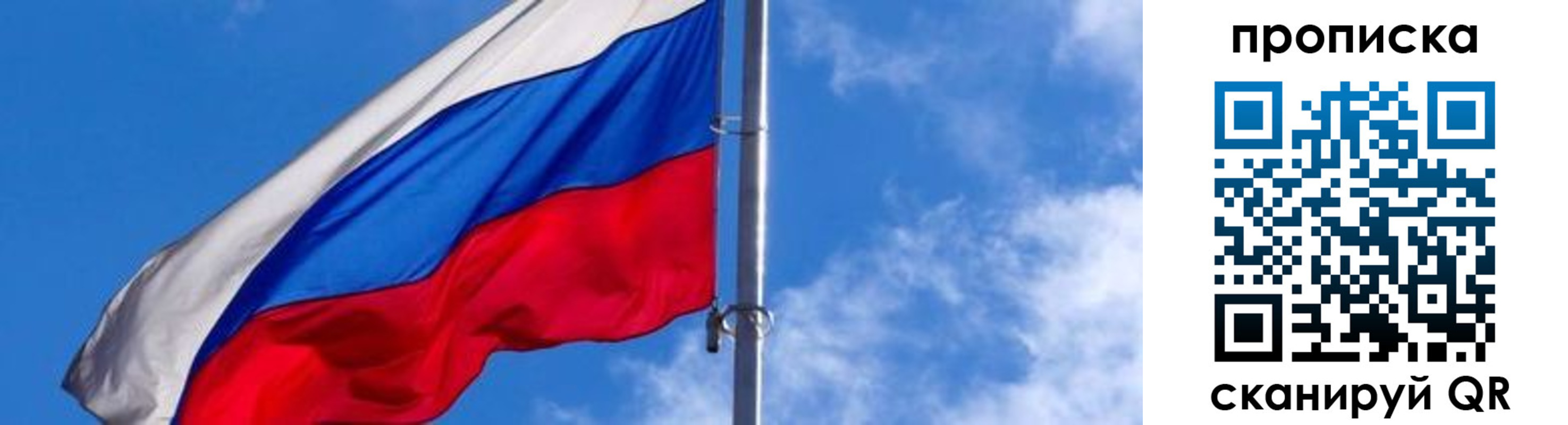 прописка поиск в Зеленоградске
